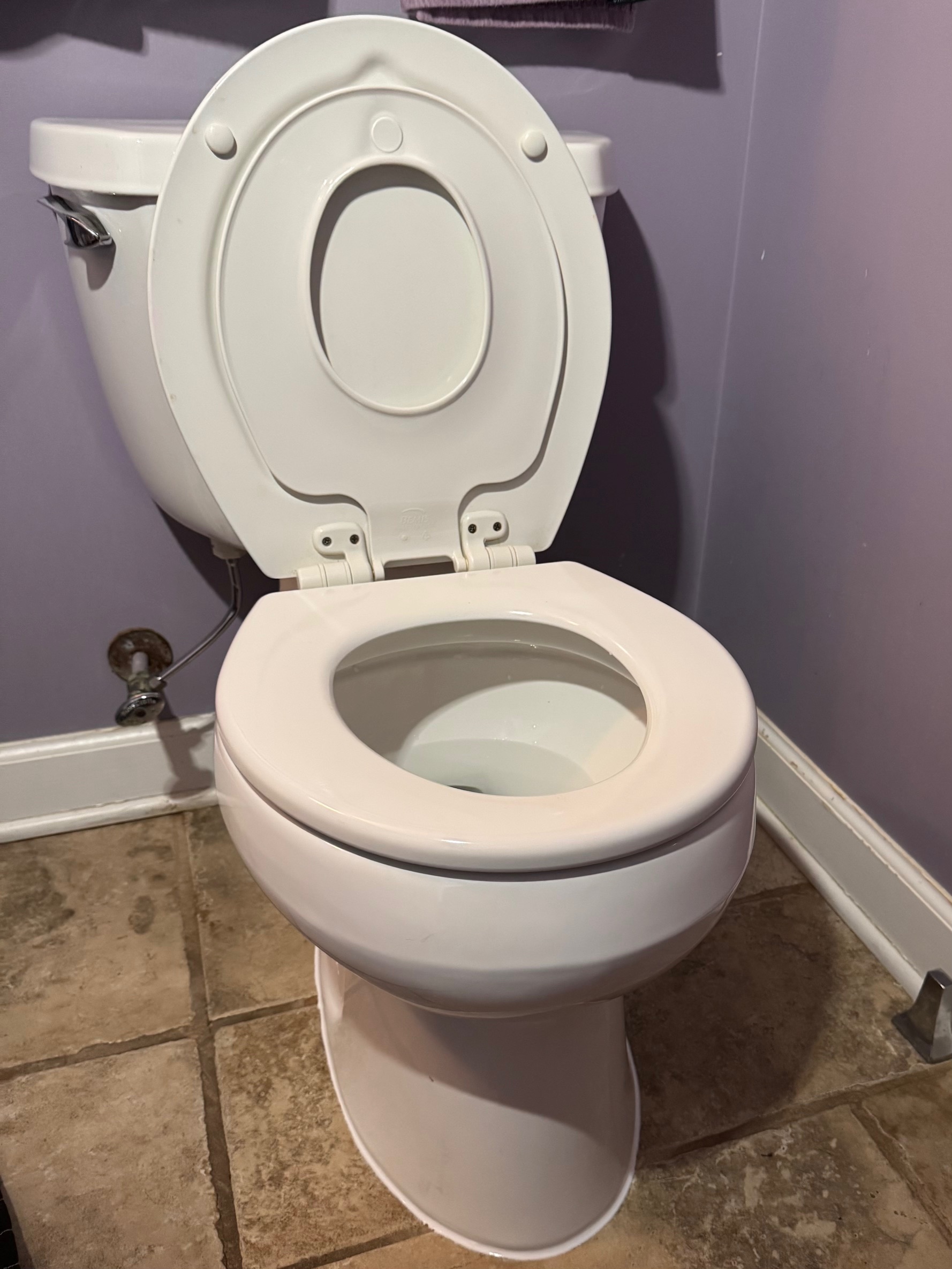 Toilet Tank Rebuild & Wax Ring Replacement in Darien, IL